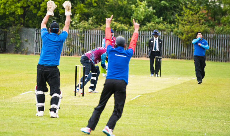 cricket celebration peter may playing field